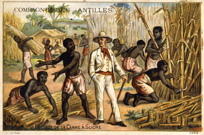 Antilles plantations