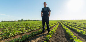Agriculture Armement