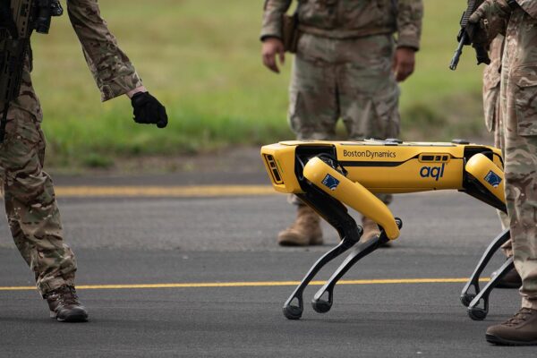 Robot Boston Dynamics