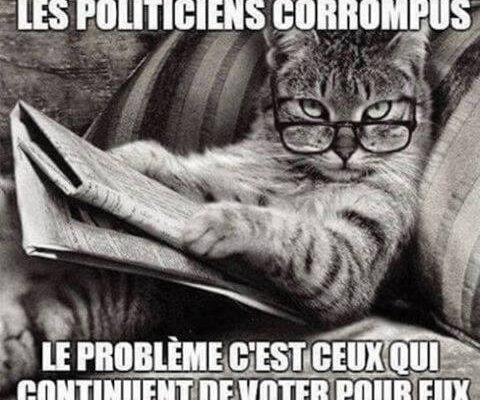 politiciens chat