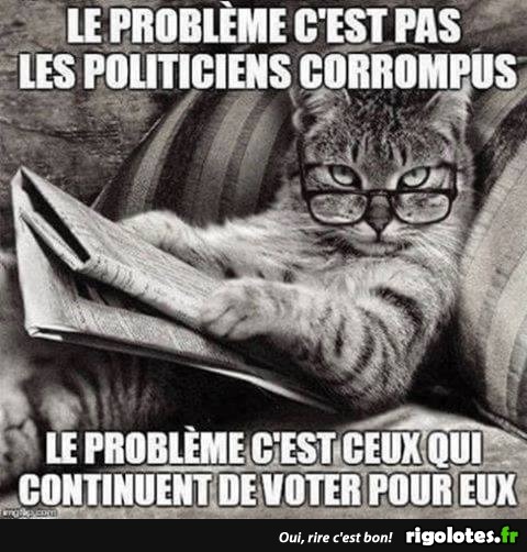 politiciens chat