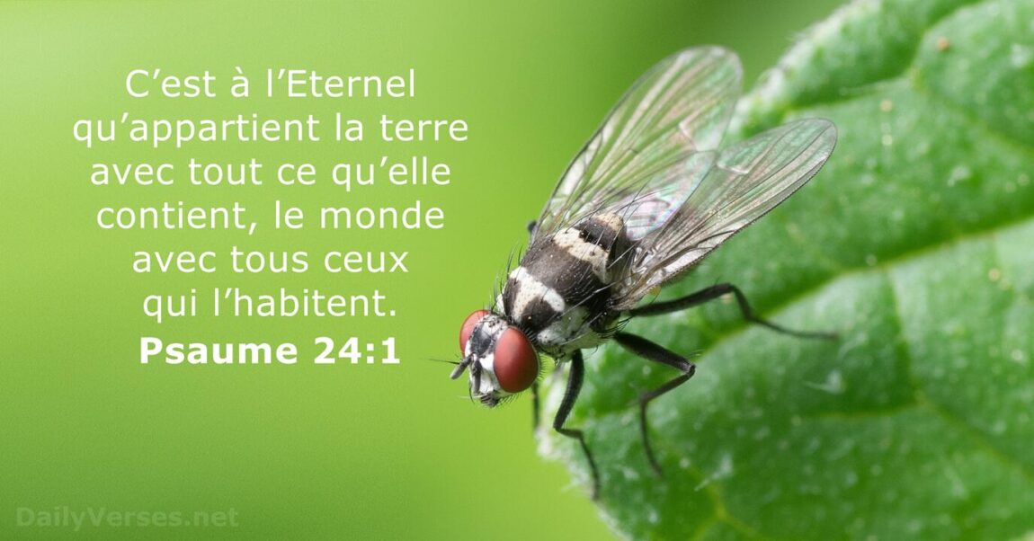 Psaume 23