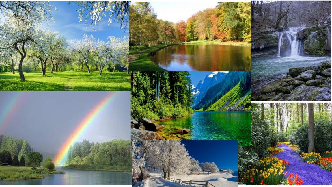 nature_divers paysages